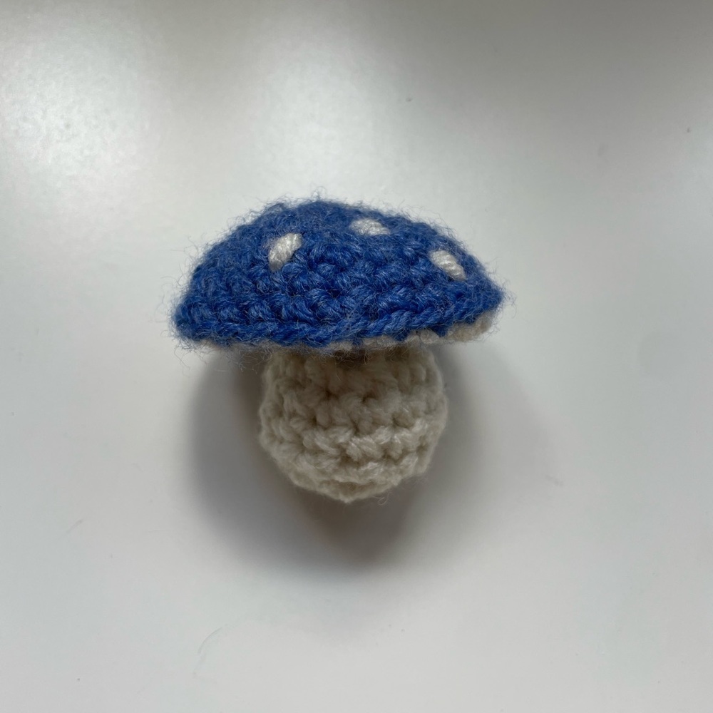 Handcrafted Crochet Blue Mushroom Pop-it